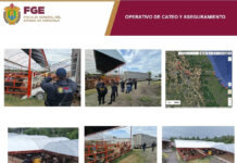 En operativo de cateo coordinado, Fiscalía de Veracruz recupera en el Estado de México 35 cabezas de ganado sustraídas en Ángel R. Cabada