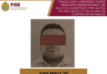 Vinculan a proceso a presunto responsable de maltrato contra un ejemplar canino en Córdoba