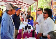 STPSP acerca 379 oportunidades de empleo a las juventudes del norte de Veracruz