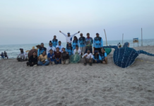 Concluye la 13ª edición del “Festival de la Tortuga Marina” en el Santuario Playas del Totonacapan