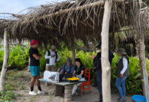 Profepa realiza operativo de vigilancia en playas de Veracruz