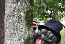 Este viernes presentan «Pewén, el árbol que viajó», en Palacio Municipal