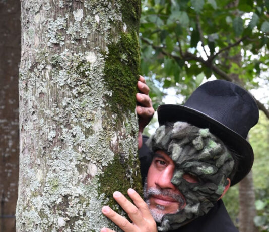 Este viernes presentan «Pewén, el árbol que viajó», en Palacio Municipal