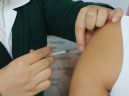 Participa IMSS Veracruz Norte en campaña de Vacunación 2026