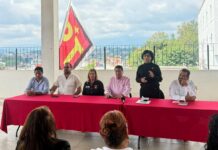 PT va por una participación real de las mujeres, no sólo por cumplir cuotas: Elízabeth Morales