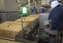 ALTOSANO Granjas Carroll abre mercado en Paraguay y concreta la 1a exportación de carne de cerdo de México