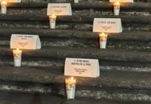 Sin Instituto de las Mujeres, 95 municipios de Veracruz