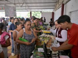 Impulsa Rosa María la economía y el desarrollo de la zona rural en la ciudad de Veracruz