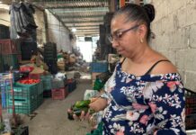 En Veracruz, el empleo “respira” con nuevos puestos; mujeres lideran la recuperación: ENOE