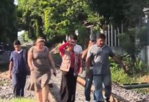 Atiende Ayuntamiento de Veracruz reporte sobre deceso de un canino por arma de fuego en Las Bajadas