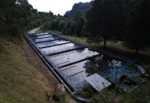 Cierre de la presa Los Colibríes es ajeno a la operatividad de la CMAS-Xalapa