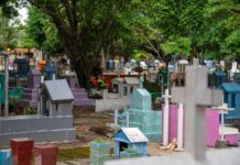 Coatzacoalcos reforzará limpieza y fumigación de panteones con el programa “Descanso Digno”