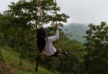 Naolinco, Tequila, Catemaco y Mecayapan: experiencias para conocer el Veracruz comunitario