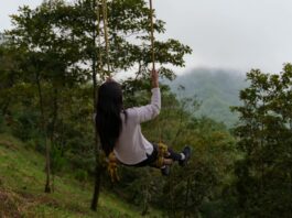 Naolinco, Tequila, Catemaco y Mecayapan: experiencias para conocer el Veracruz comunitario