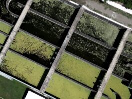 Por culpa de Grupo MAS, la ciudad de Veracruz dejará de percibir 62 mdp destinados para agua y saneamiento
