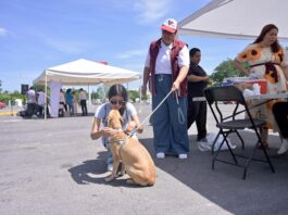 Fortalece Ayuntamiento de Veracruz la salud y protección de animales de compañía en Jornada Nacional de Vacunación 2026