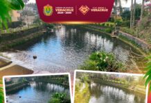 Gobierno de Veracruz realiza labores de limpieza en lago de Las Ánimas
