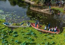 Inicia SEDEMA jornadas de limpieza en la Laguna de San Julián