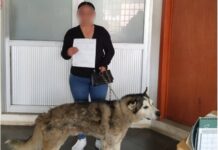 Promueve Salud Municipal la adopción responsable de 51 animales