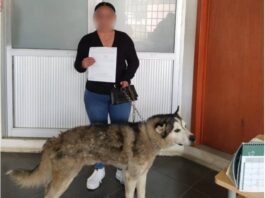Promueve Salud Municipal la adopción responsable de 51 animales
