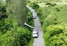 Gobierno de México y CFE refuerzan con trabajos en campo la red eléctrica de Veracruz