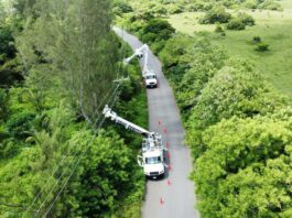Gobierno de México y CFE refuerzan con trabajos en campo la red eléctrica de Veracruz