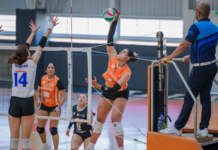 En ABE, leones debutan en casa contra el ITESM campus Monterrey