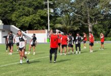 Navegará Piratas de Veracruz rumbo a la victoria ante Alebrijes