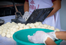 Sembrando Vida abre nuevos canales de comercialización para el maíz criollo en Veracruz