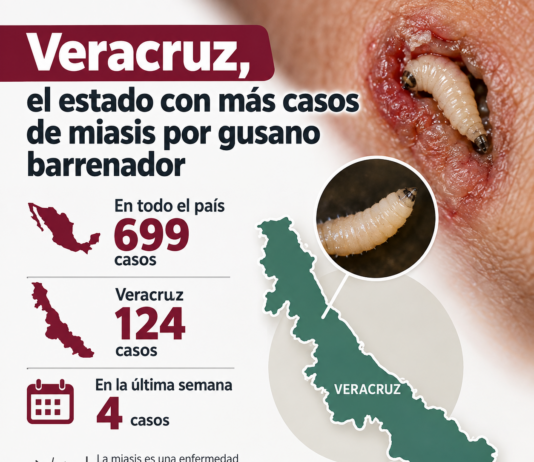 Veracruz, el estado con más casos de miasis por gusano barrenador