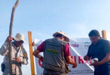 Profepa realizó operativo de inspección a ecosistemas costeros en Veracruz