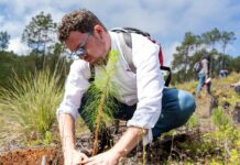 Planta Sedema mil árboles en San Juan del Monte