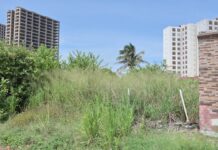 Aplican en Coatzacoalcos lineamientos para limpiar terrenos baldíos y cobrar a propietarios