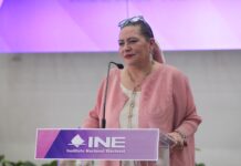 INE: debilitan a Taddei / Raymundo Jiménez