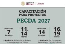 SECVER orientará a la comunidad artística para la elaboración de proyectos PECDA 2027