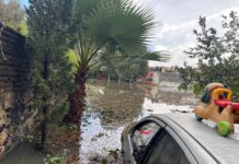 El viernes inició la CMAS trabajos por anegamientos en La Lagunilla