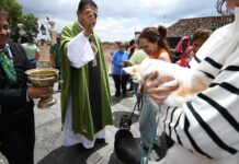 Bendición de animales: llaman a frenar la crueldad en Xalapa