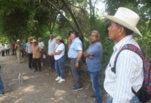 Sequía afecta cultivos en Puente Nacional; familias campesinas quedan sin ingresos
