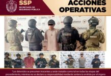 Operativos coordinados: 284 dosis de presuntas sustancias ilícitas aseguradas, 54 personas detenidas y 51 vehículos recuperados