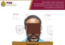 En Xalapa, cumplimentan orden de reaprehensión contra señalado por maltrato animal