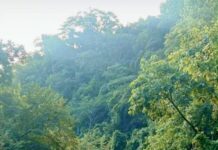 Derrumbe bloquea carretera Xalapa-Totutla; paraliza el paso hacia Tlaltetela