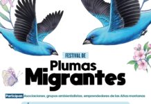 Celebra SECVER el Día Mundial de las Aves Migratorias en el MAEV