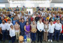 En este año, Sedarpa ha distribuido 16 mdp a productores apícolas