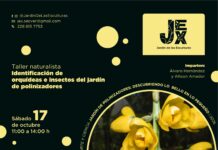 Continúa SECVER con las Jornadas de arte y ciencia en el Jardín de las Esculturas de Xalapa