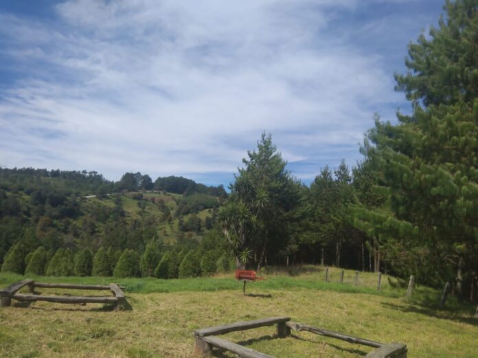 IMG-20261013-WA0165