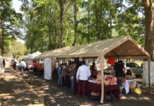 Anuncian segundo Festival “Día de Muertos, Tradición y Cultura” en el Parque Doña Falla
