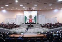 Endurece Congreso de Veracruz penas y sanciones por maltrato animal
