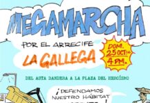 Convocan a manifestación por “ecocidio» en el arrecife La Gallega para ampliación del Puerto de Veracruz