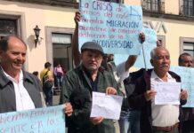 Exigen acelerar instalación de Comisión para Desarrollo de Cafeticultura previo a cosecha 2026-2027