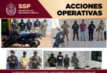 En operativos, aseguramiento de alrededor de 300 dosis de presuntas sustancias ilícitas y recuperación de 16 vehículos
